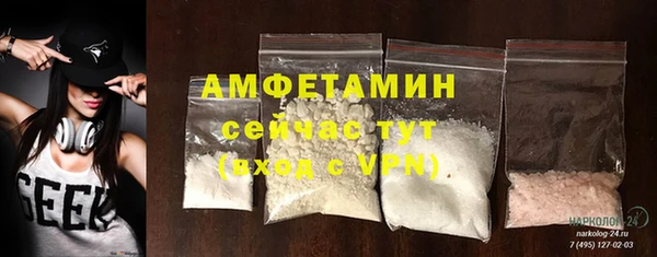 индика Волосово