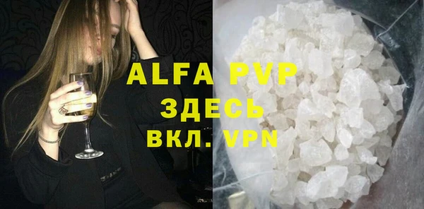 индика Волосово
