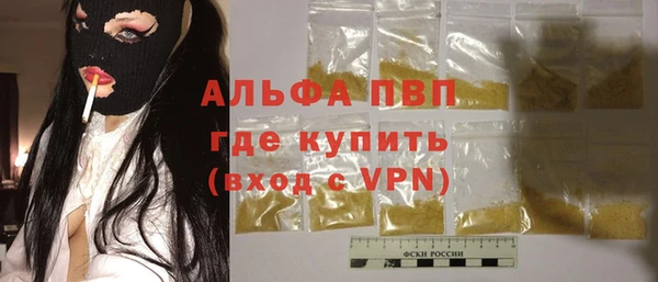 индика Волосово