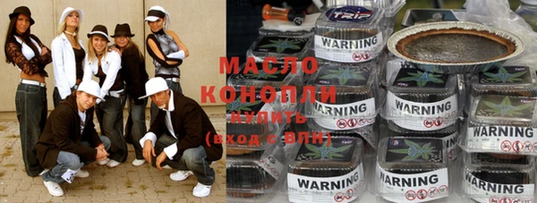 индика Волосово