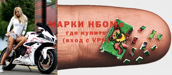 индика Волосово