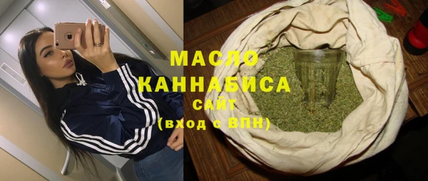 индика Волосово
