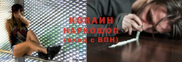 индика Волосово